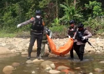 Satgas gabungan TNI/Polri saat mengevakuasi jenazah korban pembunuhan KKB di Kali I Distrik Seredala Yahukimo
