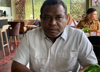 Wakil Ketua I Komite Olahraga Nasional Indonesia (KONI) Papua Tengah, Cessar Avianto
