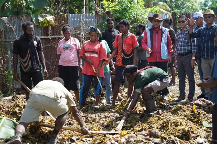 Bakar Batu Tandai Dukungan Masyarakat Suku Nduga untuk AIYE
