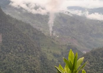 OPM Berulah Lagi, Bunuh Guru dan Nakes, Serta Bakar Sekolah