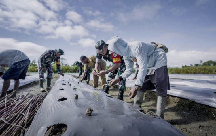 Dukung Ketahanan Pangan, Satgas TMMD ke-124 Kodim 1710/Mimika Tanam Semangka dan Kacang Tanah