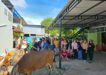 Maknai Kebersamaan di Hari Raya Idul Adha, KKL Raya Mimika Sembelih Satu Ekor Sapi