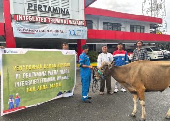 Rayakan Idul Adha 1446 H, Pertamina Patra Niaga Regional Papua Maluku Salurkan 136 Hewan Kurban di Wilayah Ring 1 Perusahaan