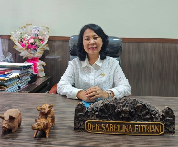 September Besok, Disnak Keswan Mimika Bagikan 400 Bibit Babi Gratis