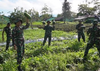 Dukung Ketahanan Pangan Nasional, Prajurit Brigif 20/IJK Panen Semangka