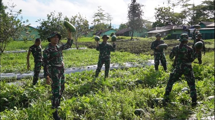 Dukung Ketahanan Pangan Nasional, Prajurit Brigif 20/IJK Panen Semangka