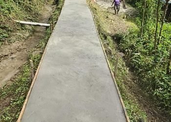 Dana Padat Karya Distrik Tembagapura Untuk Pembuatan Tailing dan Lampu Jalan