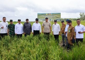 Wanam Dirancang Sebagai Pusat Cadangan Pangan Nasional