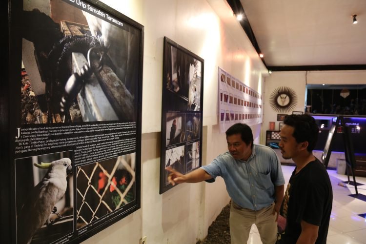 Sambut HUT Mimika ke-29, PFI Mimika Gelar Pameran Foto