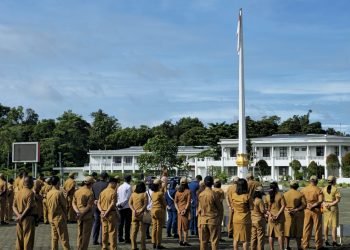 Pj Sekda Mimika: Ada ASN Punya Jabatan Ganda. Jadi Pegawai Kabupaten Lain Hingga Karyawan Freeport