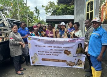 Berdayakan OAP, Disnakkeswan Mimika Serahkan 1.600 Bibit Ternak Itik Kepada Warga