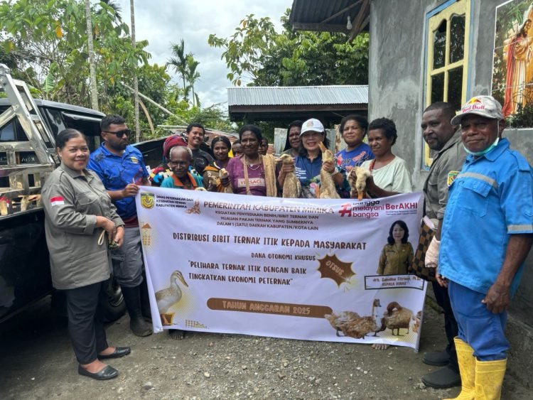 Berdayakan OAP, Disnakkeswan Mimika Serahkan 1.600 Bibit Ternak Itik Kepada Warga