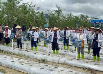 Jadi Pilot Project, DPD RI Luncurkan Program Senator Peduli Ketahanan Pangan di Mimika Papua Tengah