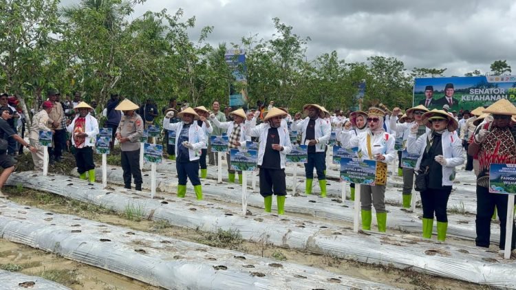 Jadi Pilot Project, DPD RI Luncurkan Program Senator Peduli Ketahanan Pangan di Mimika Papua Tengah