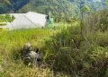 Usai Bakar Gedung Puskesmas, KKB Dipukul Mundur Satgas Ops Damai Cartenz di Pegunungan Bintang