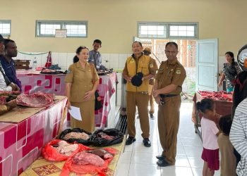 Disperindag dan Disnak Keswan Mimika Kolaborasi Terapkan Wajib Timbangan di Lapak Babi Pasar Sentral