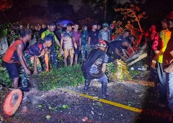 Demi Kelancaran Lalulintas, Prajurit Brigif 20/IJK/3 Kostrad Bersihkan Pohon Tumbang di KM 12