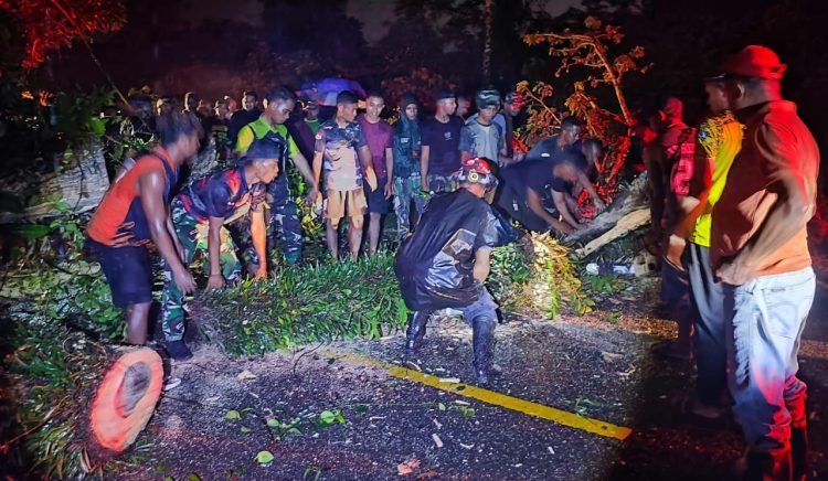 Demi Kelancaran Lalulintas, Prajurit Brigif 20/IJK/3 Kostrad Bersihkan Pohon Tumbang di KM 12