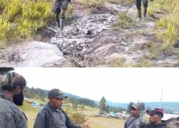 Honai Bantuan Presiden Prabowo Untuk Kepala Suku Dani Puncak Mulai Dikerjakan