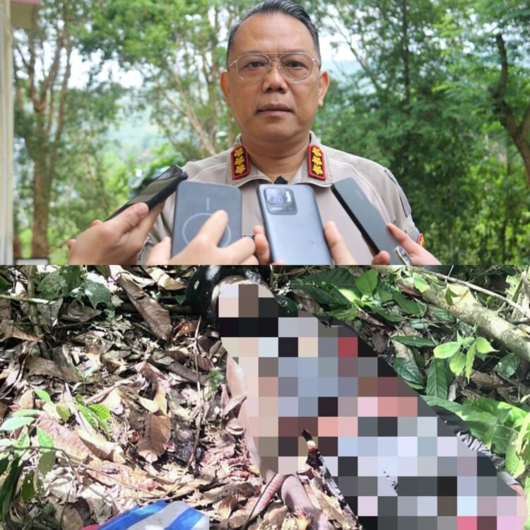 Aparat Gabungan TNI–Polri Tindak Anggota KKB Pimpinan Aibon Kogoya di Bukit Signal Nabire