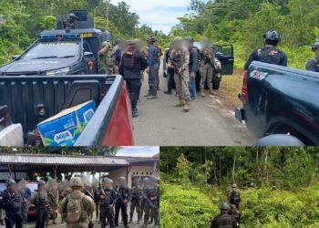 Kontak Tembak Satgas Damai Cartenz Dengan KKB di Yahukimo, Situasi Kembali Aman Terkendali