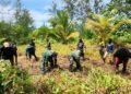 Gotong Royong Bersama Warga, Satgas TMMD Kodim 1710/Mimika Buka Lahan Pertanian