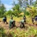 Gotong Royong Bersama Warga, Satgas TMMD Kodim 1710/Mimika Buka Lahan Pertanian