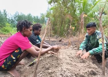 Satgas TMMD Edukasi Warga Keakwa Cara Semai Bibit Cabai