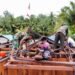 Satgas TMMD Fokus Rampungkan Rangka Atap Rumah Program TMMD
