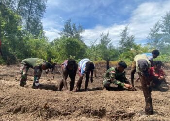 Bedengan Rampung, Lahan Program TMMD Siap Ditanami
