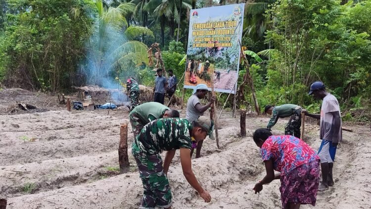 Manfaatkan Lahan Tidur, Satgas TMMD Ke-128 Tanam Jagung Bersama Warga