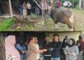Maknai Idul Adha, Desi Putrika Serahkan Sapi Kurban ke KKL Raya Kabupaten Mimika