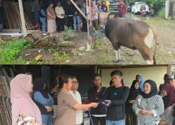 Maknai Idul Adha, Desi Putrika Serahkan Sapi Kurban ke KKL Raya Kabupaten Mimika