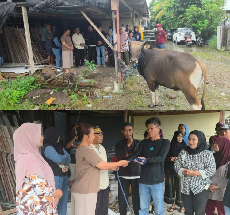 Maknai Idul Adha, Desi Putrika Serahkan Sapi Kurban ke KKL Raya Kabupaten Mimika
