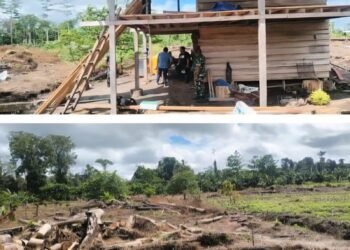 Kejari Mimika Segera Tetapkan Tersangka Kasus Dugaan Korupsi Lahan Perkebunan Rp.22,5 Miliar