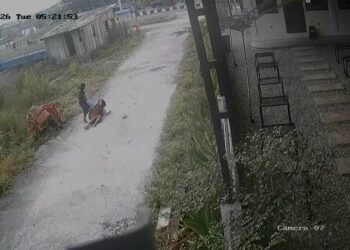 Nakes di Mimika Jadi Korban Curas, Pelaku Pukul dengan Balok Kayu dan Rampas Ponsel