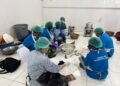 40 Mama Kamoro Ikut Pelatihan Pengolahan Pangan Lokal yang Digelar DP3AP2KB Mimika
