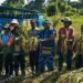 Dorong Ketahanan Pangan Lokal, Dinas TPHP Mimika dan Lanud YKU Panen Perdana Padi Gogo di Nawaripi