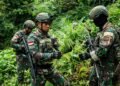 Satgas Yonif 753 Temukan 169 Pohon Ganja Siap Panen di Pegunungan Bintang