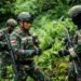 Satgas Yonif 753 Temukan 169 Pohon Ganja Siap Panen di Pegunungan Bintang