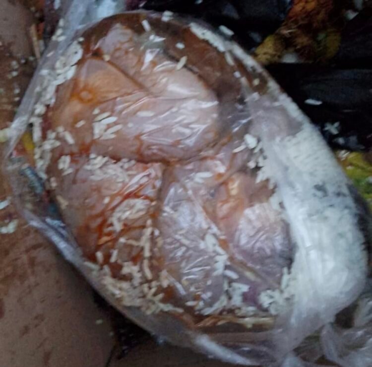 Dibuang Orang Tuanya, Bayi Ditemukan dalam Kantong Plastik di Tumpukan Sampah dari Perumahan Belakang BTS SP2