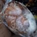 Dibuang Orang Tuanya, Bayi Ditemukan dalam Kantong Plastik di Tumpukan Sampah dari Perumahan Belakang BTS SP2
