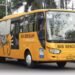Bupati Mimika Targetkan Pendidikan dan Transportasi Gratis bagi Seluruh Pelajar