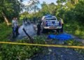 Diduga Tabrak Pohon Tumbang, Pengendara Motor Tewas Terlindas Kendaraan di Jalan Poros SP V–SP XIII