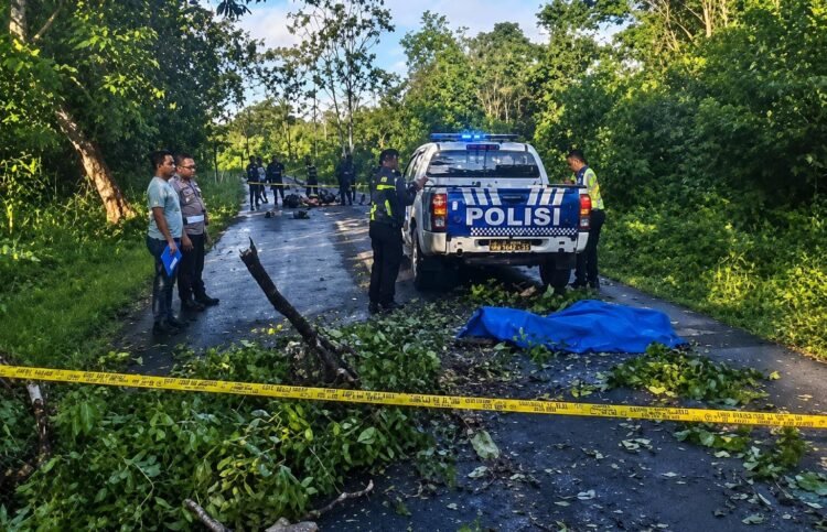 Diduga Tabrak Pohon Tumbang, Pengendara Motor Tewas Terlindas Kendaraan di Jalan Poros SP V–SP XIII