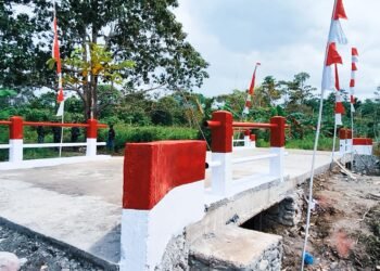 Jembatan Beton Kampung Kaugapu Rampung, Dandim 1710/Mimika: Jadi Penghubung Mobilitas dan Pendorong Perekonomian Warga