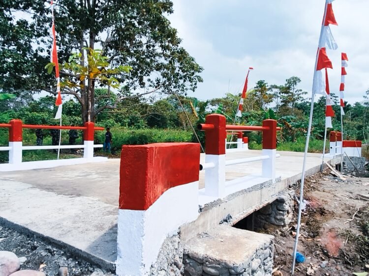 Jembatan Beton Kampung Kaugapu Rampung, Dandim 1710/Mimika: Jadi Penghubung Mobilitas dan Pendorong Perekonomian Warga