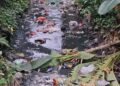 Perilaku Buang Sampah Sembarangan Jadi Sorotan, Warga Khawatir Kali Engkong Picu Banjir