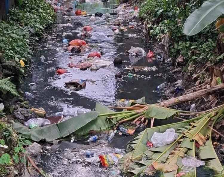 Perilaku Buang Sampah Sembarangan Jadi Sorotan, Warga Khawatir Kali Engkong Picu Banjir
