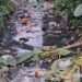 Perilaku Buang Sampah Sembarangan Jadi Sorotan, Warga Khawatir Kali Engkong Picu Banjir